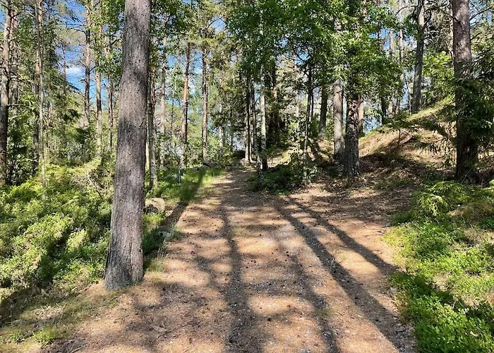 Fin Landlig Med Utsikt