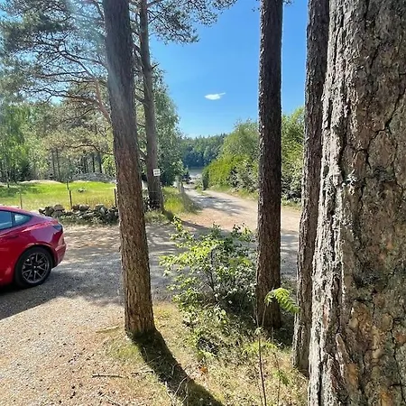 Fin Landlig Med Utsikt